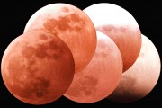 R.Wrobel - eclipse lunaire 3Mar2007.jpg